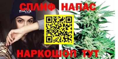 амф Кунгур