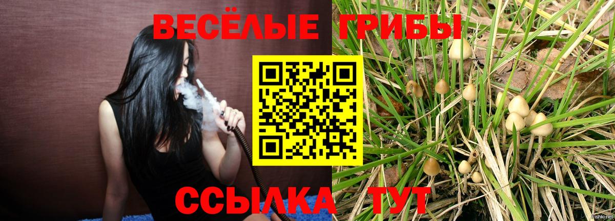 Псилоцибиновые грибы MAGIC MUSHROOMS Камышин